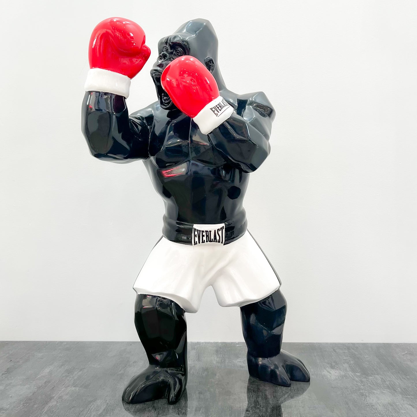 Boxer - Laura Curiel